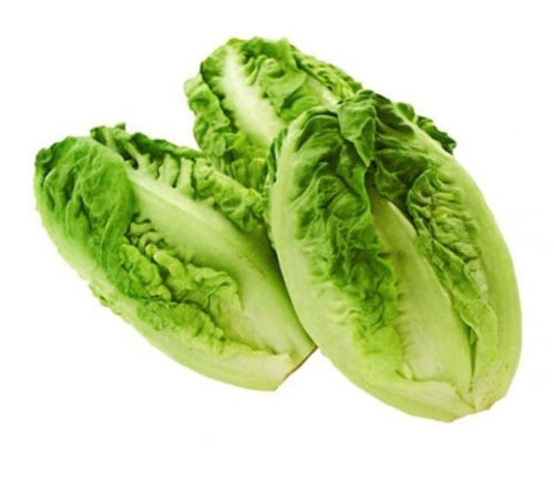 BIO Miniromana - Salat „Gogollos“ - CN-Shop24